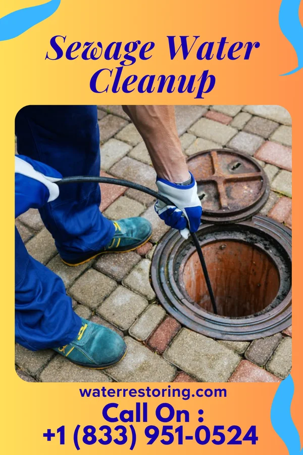 Sewage Water Cleanup in Sudlersville, MD