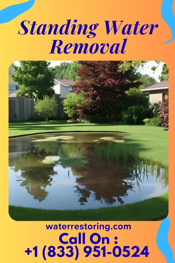 Standing Water Removal in Sudlersville, MD